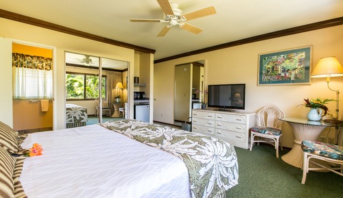 Habitación estándar, 1 cama de matrimonio grande (No Resort Fee, Free Breakfast)