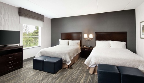 Suite estudio, no fumadores (2 Queen Beds with SofaBed)