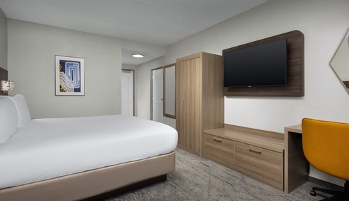 Habitación estándar, 1 cama de matrimonio grande