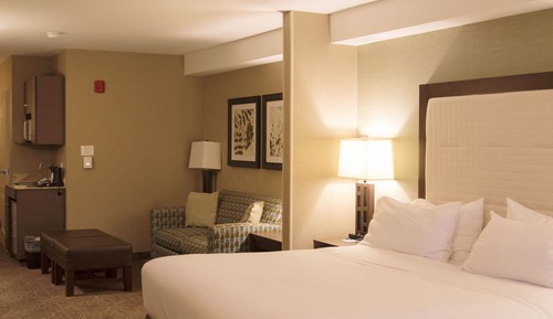 Suite, 1 cama de matrimonio grande (Extra Floor Space)