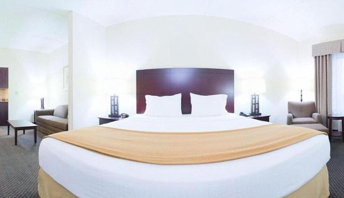 Habitación estándar, 1 cama de matrimonio grande (Communications, Roll-In Shower)