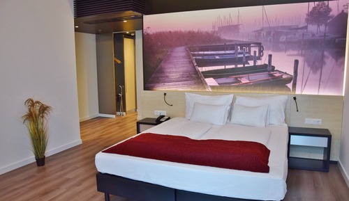Habitación doble superior, 1 cama de matrimonio, no fumadores (Pannonia Superior)