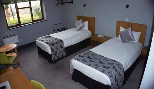 Habitación estándar con 2 camas individuales