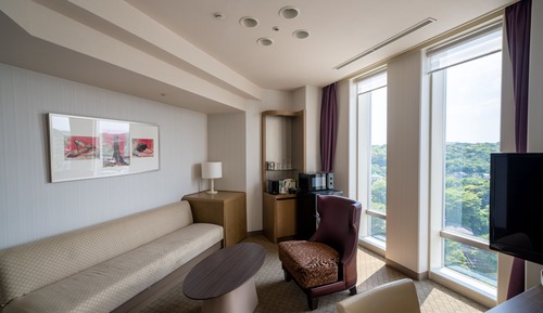 Habitación Deluxe, 1 cama de matrimonio grande con sofá cama, no fumadores