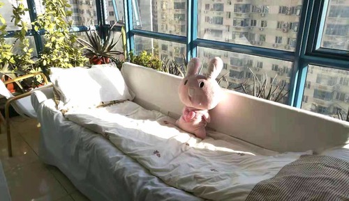 Romantic Apartment 1 Twin Bed(Golden Couch Homestay)(Fully enclosed balcony)