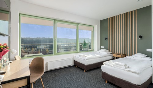 Habitación Deluxe con 1 cama doble o 2 individuales