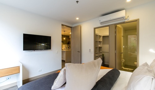 Deluxe Apartment #205