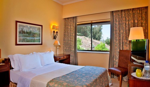 Habitación doble, vistas al jardín