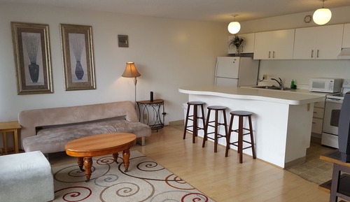 Apartamento, 1 cama de matrimonio grande con sofá cama, no fumadores