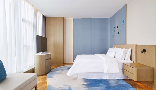 Suite Club, 1 habitación
