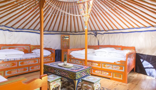 Tienda estándar, 1 habitación (Yourte)