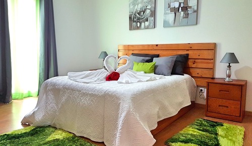 Superior Apartment, 1 Bedroom, Mountain View