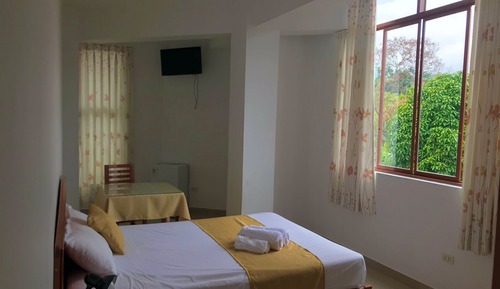Habitación Premium doble, 1 cama de matrimonio grande (Air Conditioner)
