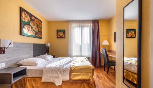 Habitación doble, 1 cama de matrimonio