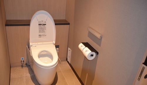 Habitación, no fumadores (Moderate King,Shower Only,Max 2 Adult)