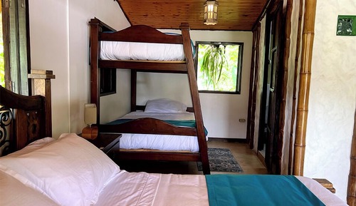 Habitación estándar, vistas al jardín