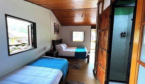 Habitación estándar, balcón, vistas al jardín