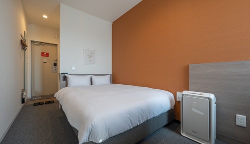 Habitación estándar doble (check-in is not available after 11PM)