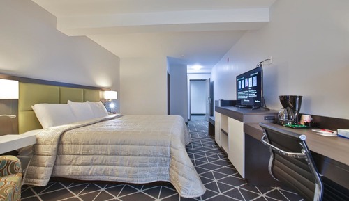Habitación individual de lujo, 1 cama de matrimonio grande