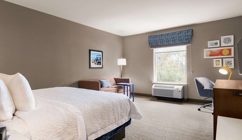 Habitación, 1 cama de matrimonio grande con sofá cama, frigorífico y microondas