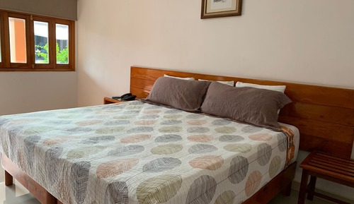 Suite Business, 1 cama de matrimonio grande, no fumadores