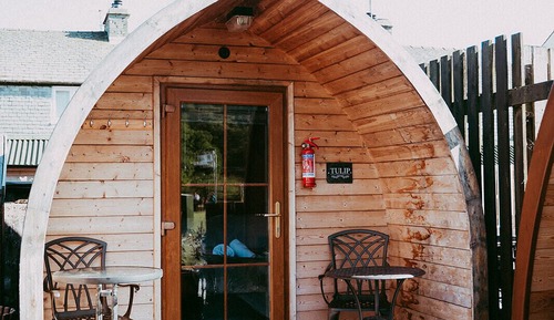 Cabaña estándar, baño privado (Double Glamping Pod )