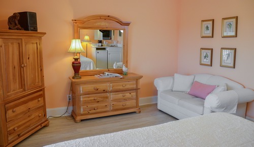 Habitación estándar, 1 cama de matrimonio grande, no fumadores (Hibiscus)