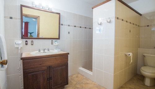 Habitación clásica doble, 1 cama de matrimonio grande, no fumadores, vistas al jardín