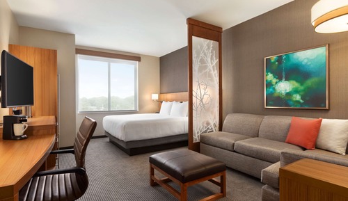 Habitación, 1 cama de matrimonio grande con sofá cama