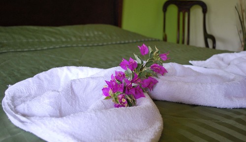 Habitación familiar, vistas al jardín