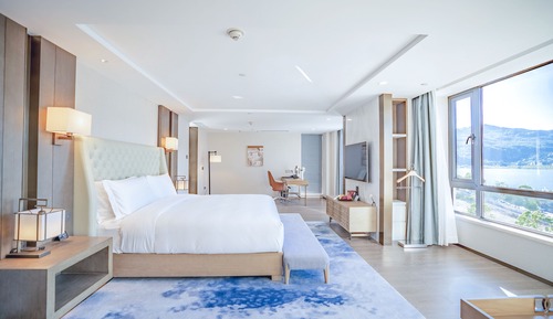 Suite presidencial, 1 habitación
