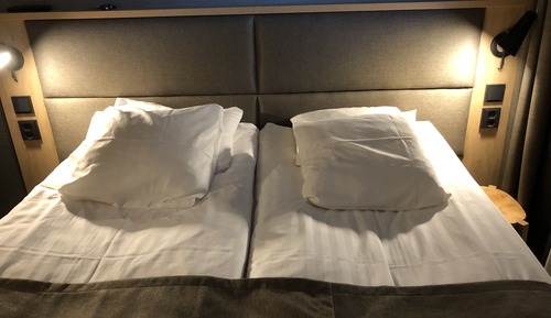Habitación básica con 1 cama doble o 2 individuales
