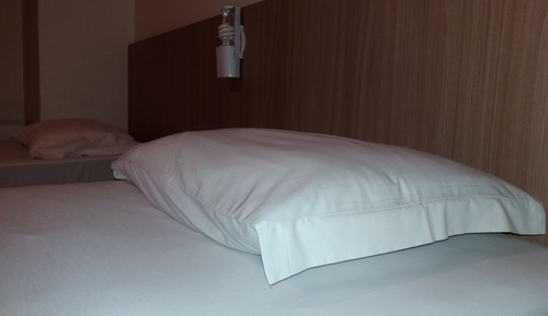 Habitación Deluxe con 2 camas individuales