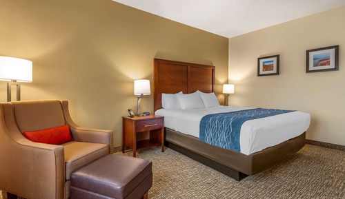 Habitación estándar, 1 cama de matrimonio grande, no fumadores