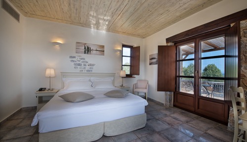 Habitación doble, vistas al jardín