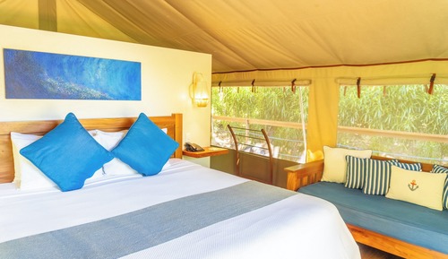 Tent Suite 1 King Bed with A/C