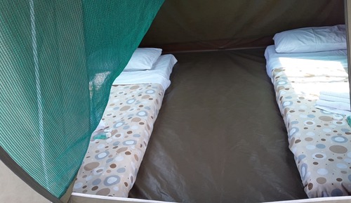 Tienda básica (No beds in tent. Mattress only)