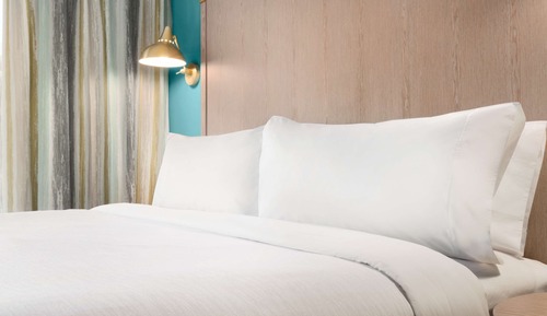 Suite, 1 cama de matrimonio grande, accesible para personas con discapacidad (Roll-in Shower)