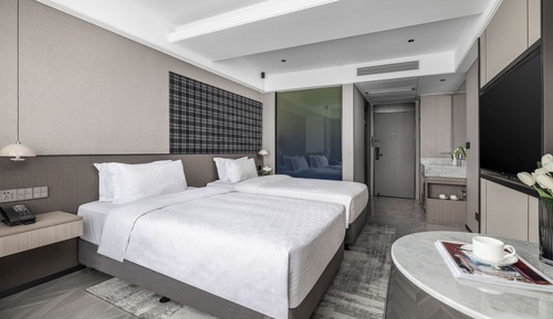 Habitación Deluxe con 2 camas individuales