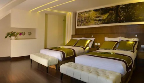 Habitación Deluxe con 2 camas individuales