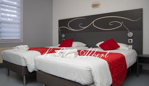 Habitación Confort con 2 camas individuales (11)