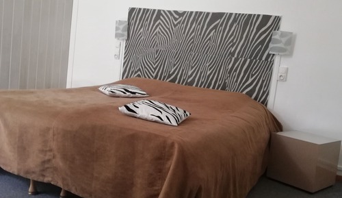 Habitación Confort doble (Zebra 1)