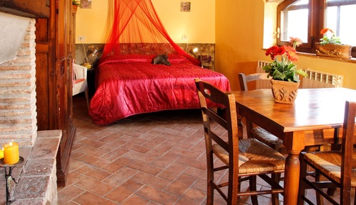 Estudio Confort, cocina, vistas al jardín