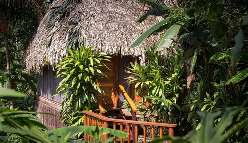 Standard Room, 1 Queen Bed, Garden View