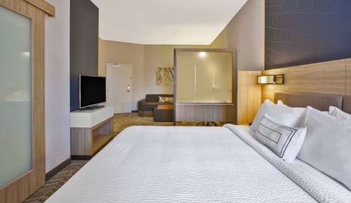 Suite, 1 cama de matrimonio grande con sofá cama