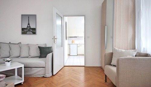 Habitación doble superior, 1 habitación, cocina básica (4)