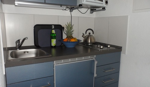 Estudio Premium, baño privado, vistas al jardín (Studio 3 Blau)
