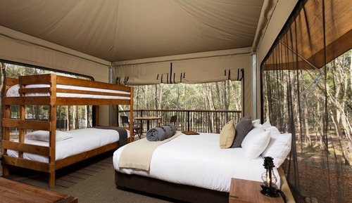 Family Eco Tent Ensuite + Entry to 4 Theme Parks & FREE BREAKFAST