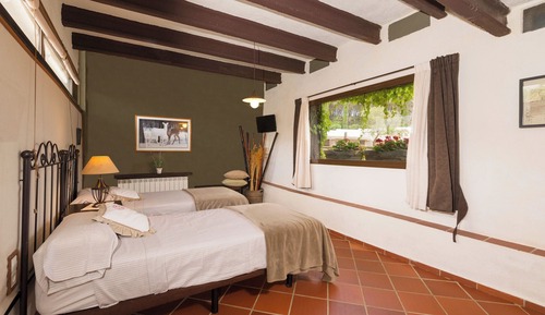 Habitación estándar con 2 camas individuales (Idomeneo)