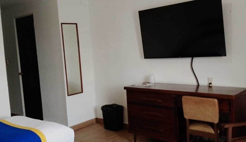Basic Twin Room